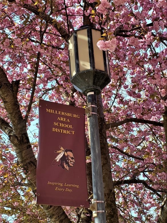 light pole under tree with banner
